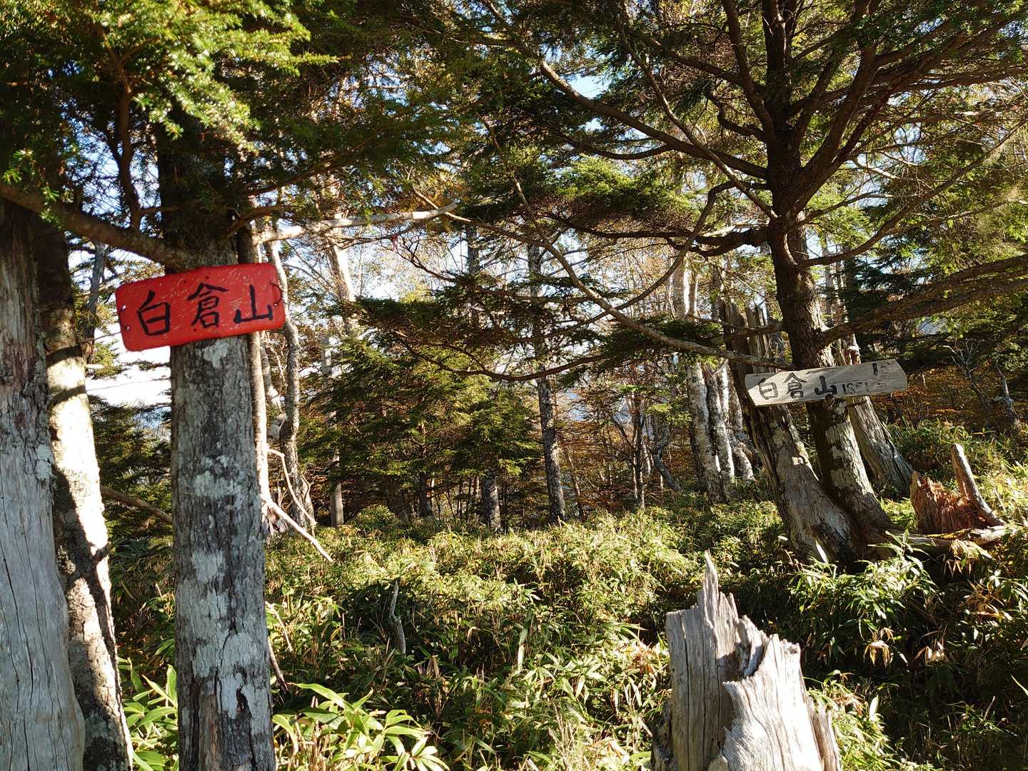 白倉山。