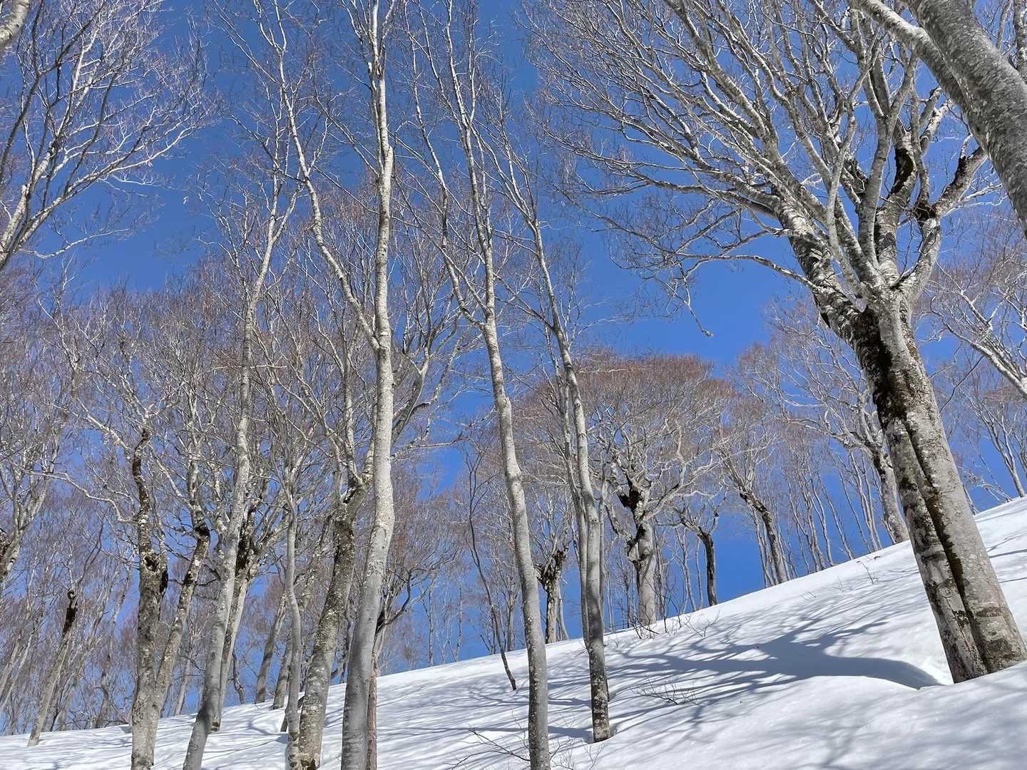気持ちいい〜
けど、脚はヘロヘロ
写真撮影という名の休憩頻回
ただの小休憩も頻回💦