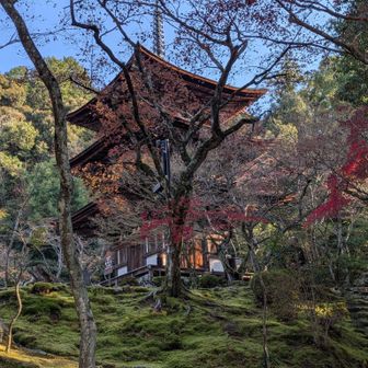 すみません、こちらはまだ「西明寺」です😥苔道を下から上へと巡りながら　もう一度三重塔を周回。中々ええ感じの眺めです🥰