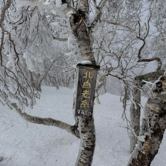 驚くほど白い🌬️🌫️