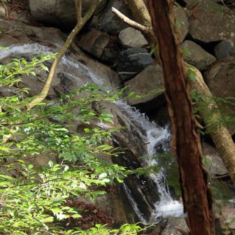 白菊の滝💦