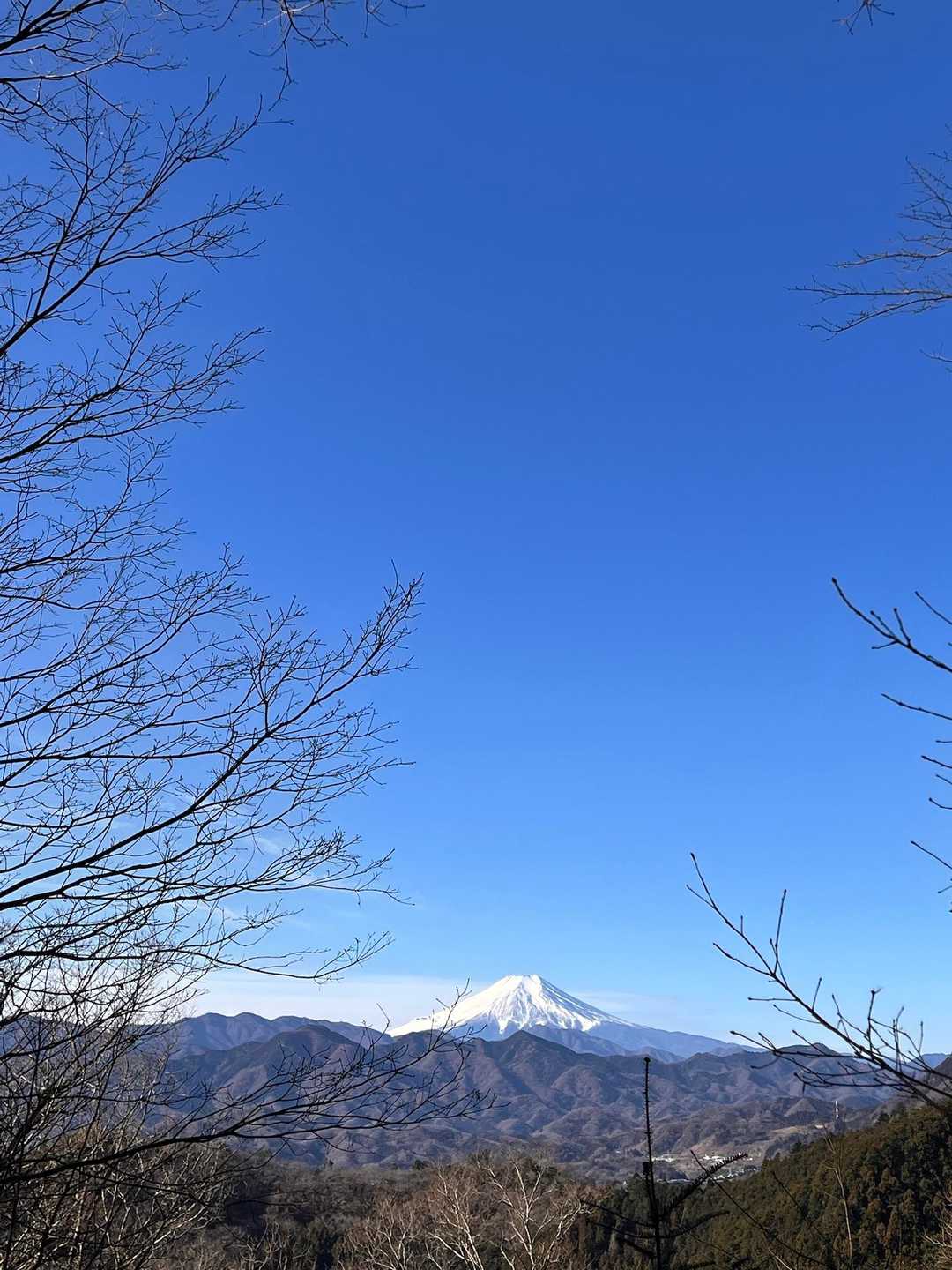 新井バス停-要害山入口-尾続バス停-尾続山入口　-尾続山- 周回コースの写真