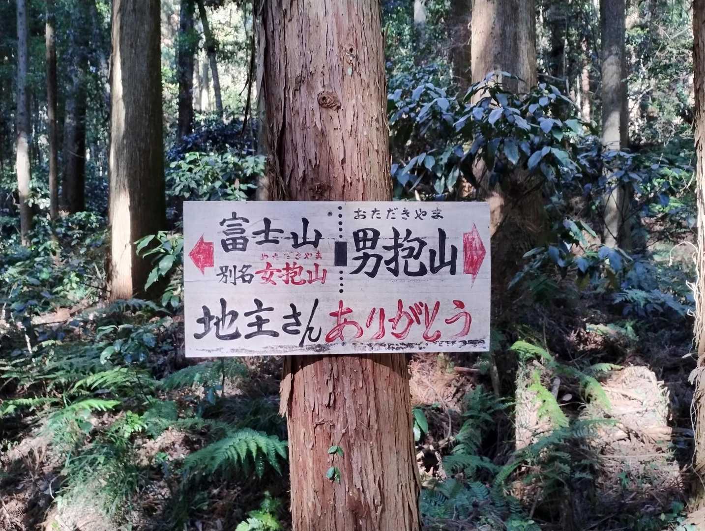 分岐です✨
男抱山から登ります☺️
地主さんありがとう、ですね～
