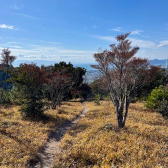 赤穂の街並みが遠くに少し見えてきて