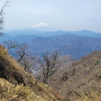 何枚も撮りたくなりますね