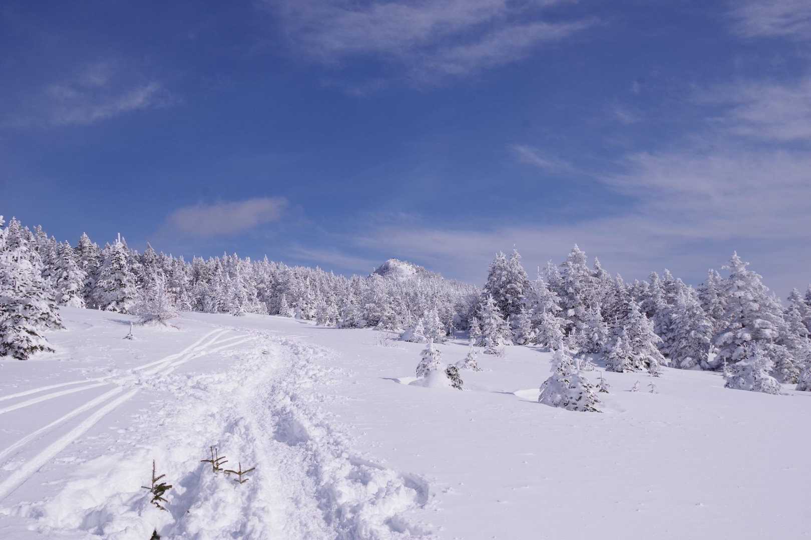 やっと見えた山頂よりも樹氷の群れに心奪われる😆