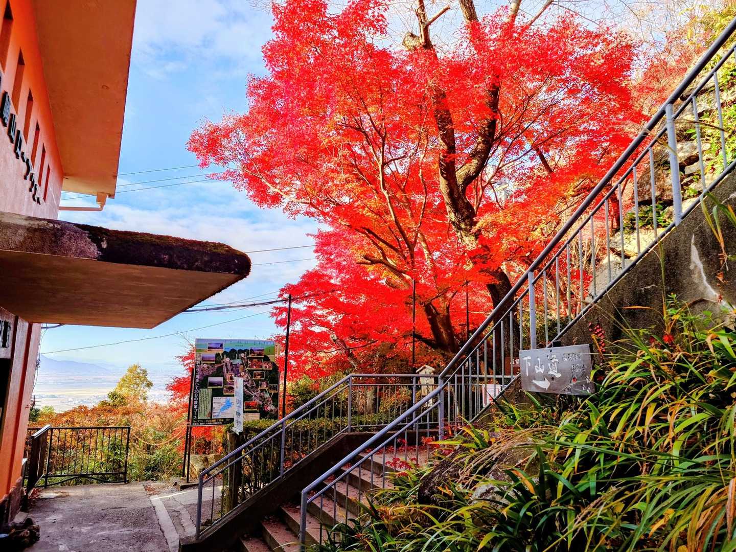 山頂駅でももみじがお出迎え😆