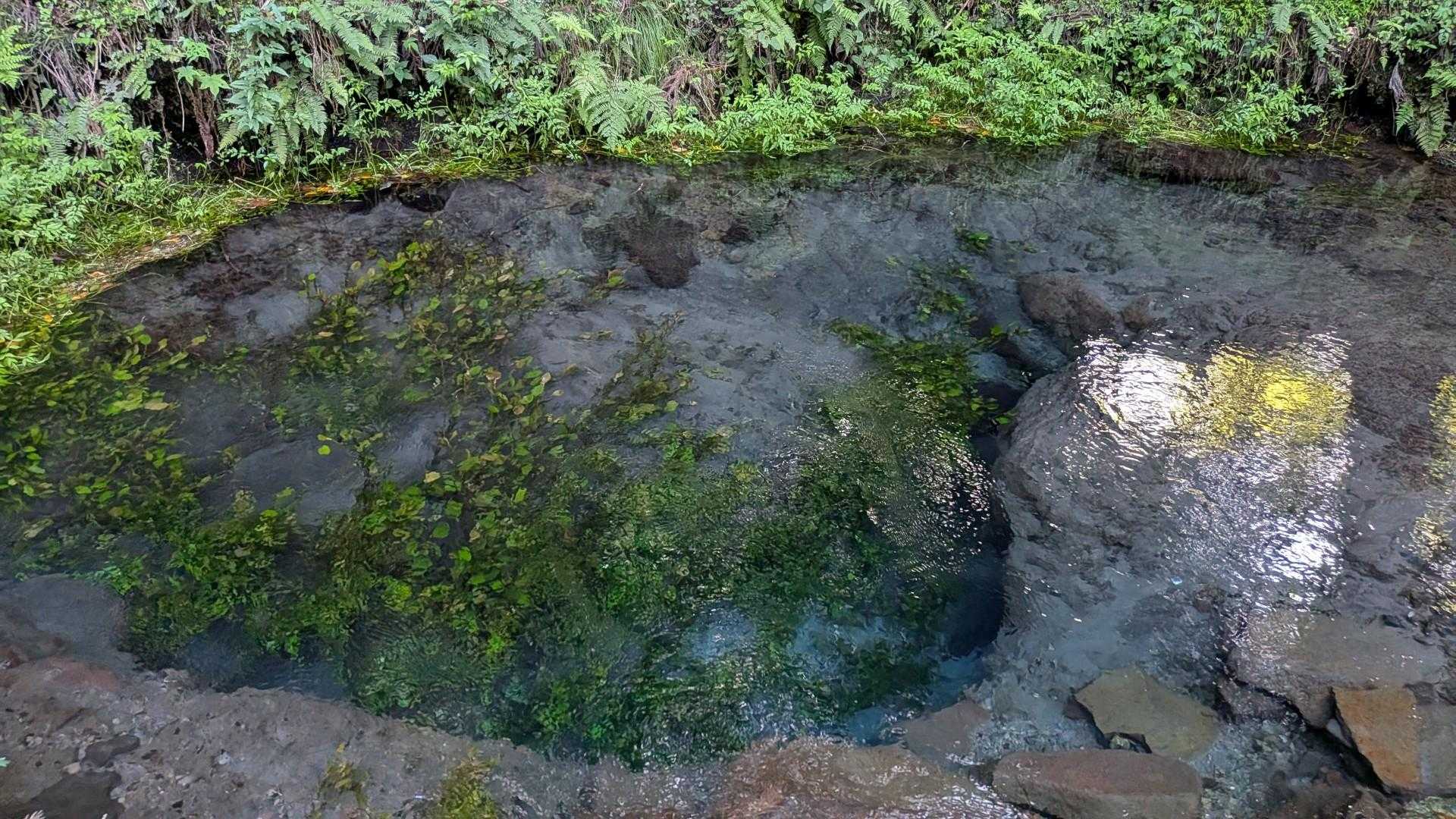 地震の影響はなさそうでよかった〜
