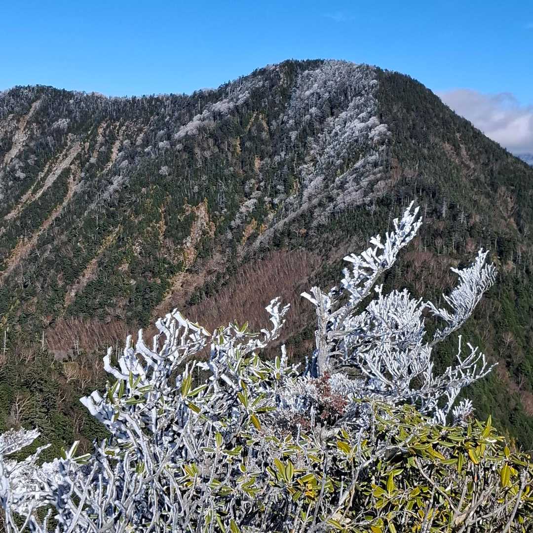 皇海山登山口-庚申山-駒掛山-薬師岳-鋸山-皇海山 往復コースの写真