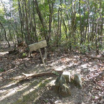 藤ノ尾山に到着