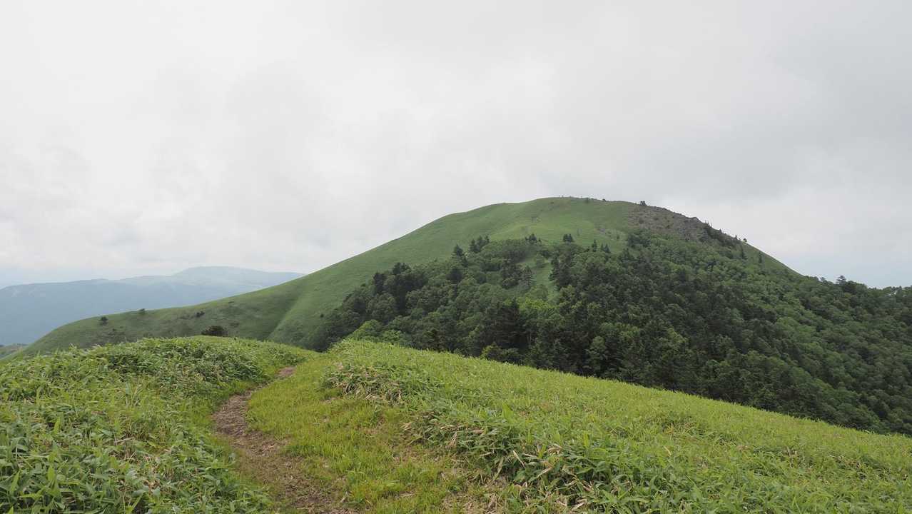 中央分水嶺トレイル（長門牧場〜白樺湖〜八島湿原〜三峰山〜美ヶ原）、2daysスルーハイク の写真 43