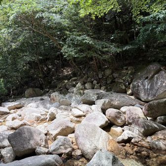 渡渉〜水少なめです
