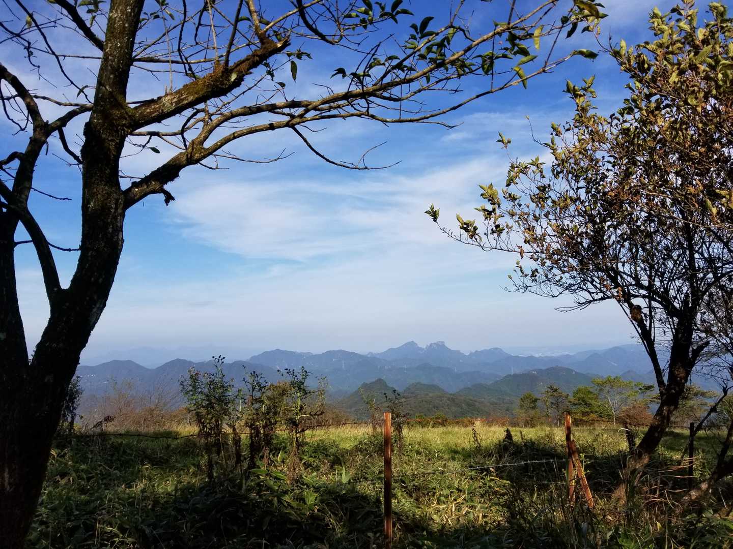 物見山-香坂峠-神津牧場 縦走コースの写真