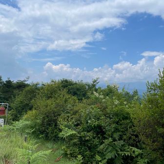 夏の空です