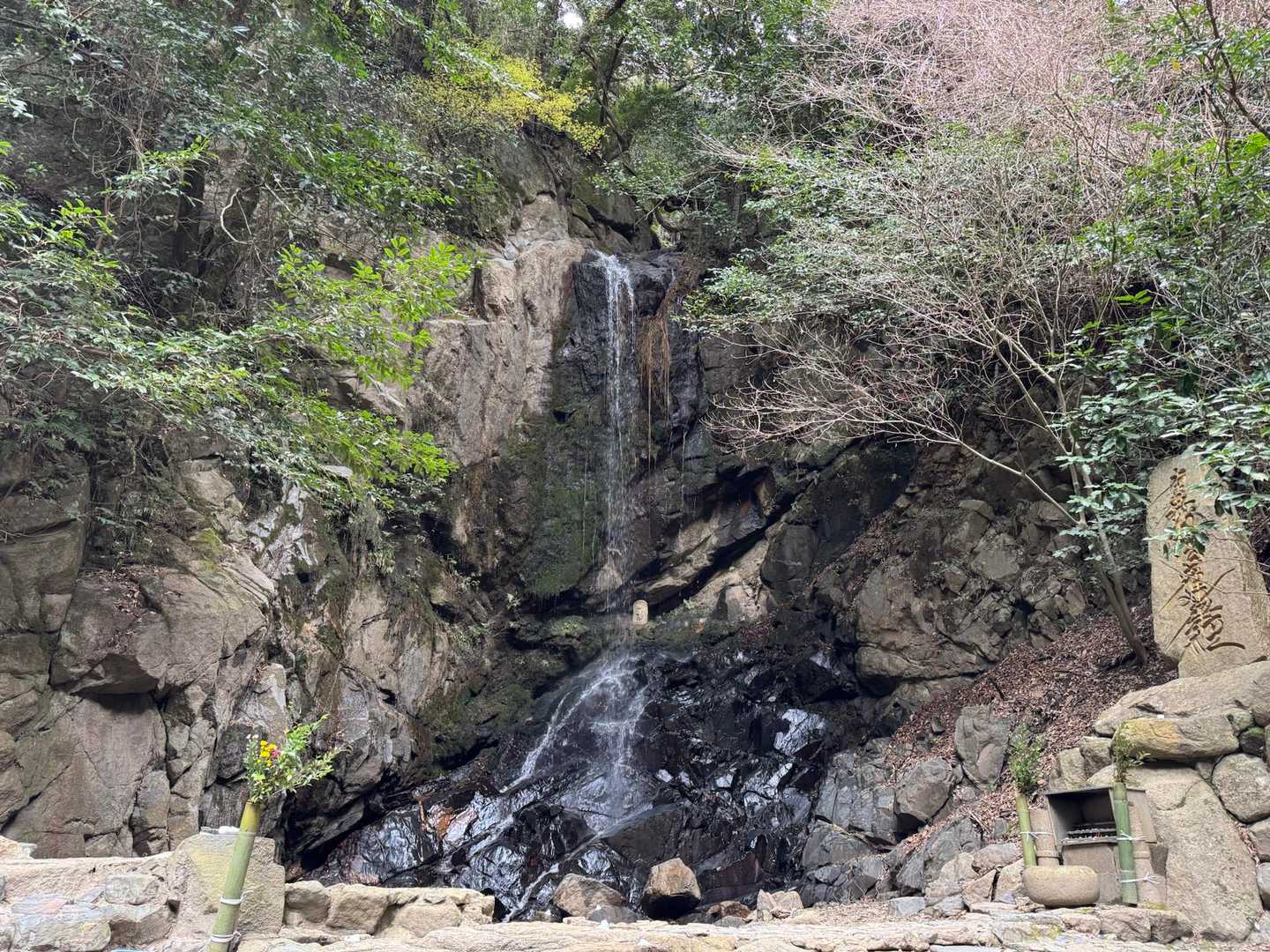 大国見山 往復コースの写真