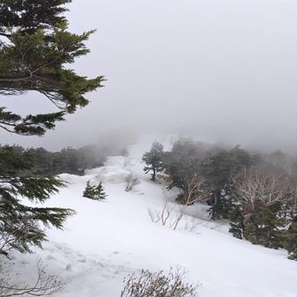 いくつものピークを過ぎて、いよいよ天空回廊？
ガスってなければ、素敵な景色だろうなあ。