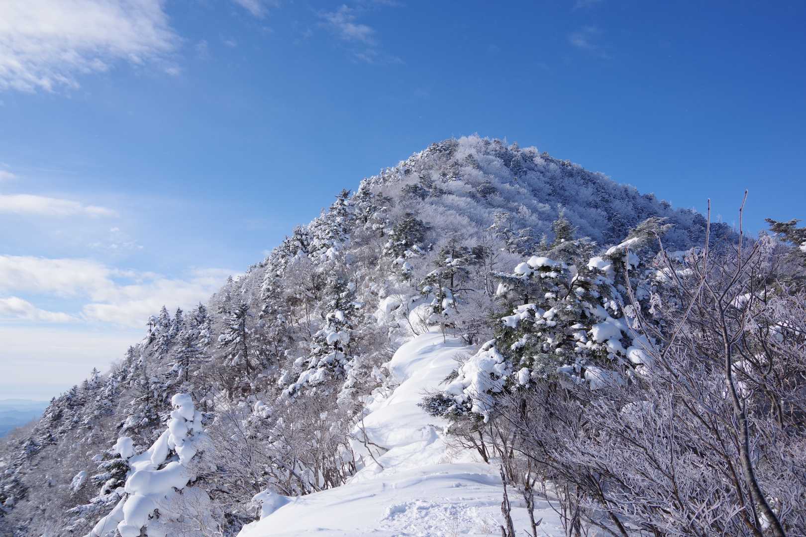 山頂へアタック開始。
