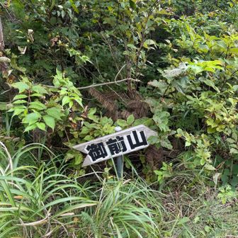右が御前山でした。猿がいるよ。