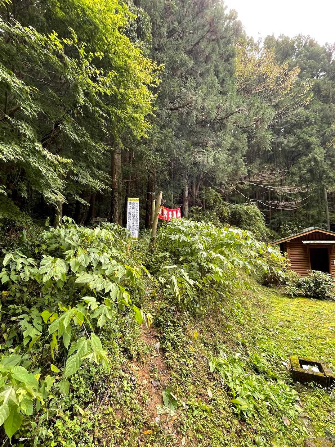 ここから入山♪