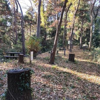 途中にまた休憩場所。おなじみの横浜市民の森の案内板がありました。