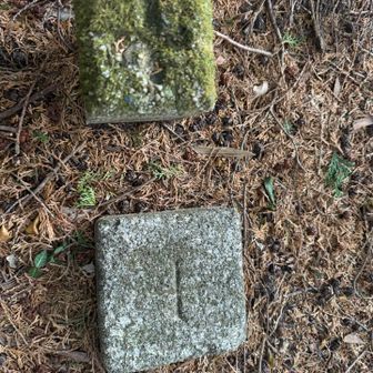 しっかり三角点ありました〜