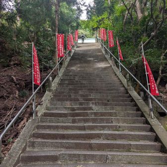 長い階段〜一気に💪