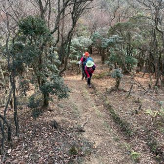 高畑山への⤵️⤴️