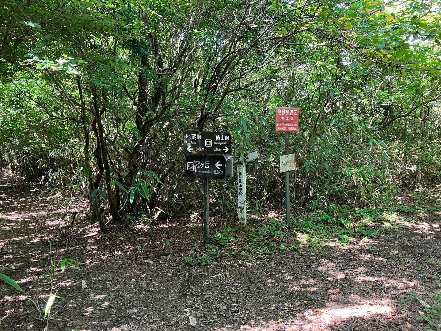 分岐、右に行くと護王峠から俵山
左に行く