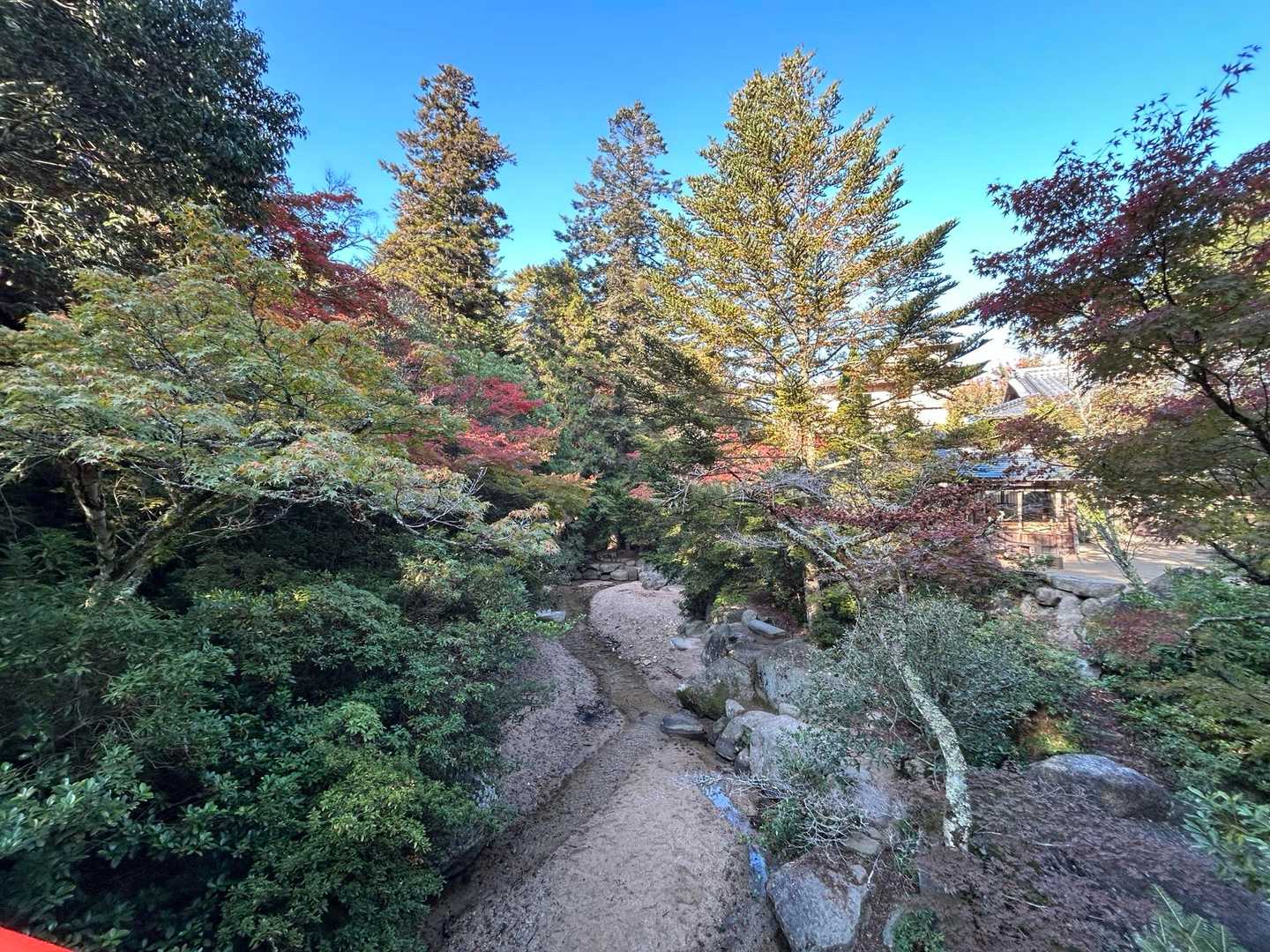 紅葉谷-弥山-大聖院 周回コースの写真