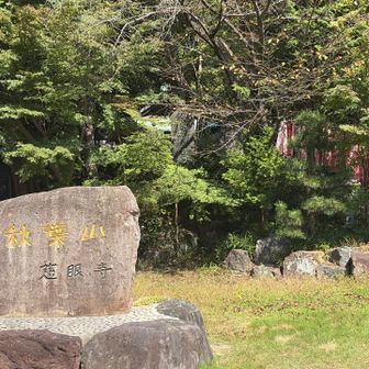 お寺ですが、この奥に神社が5社ぐらいあります