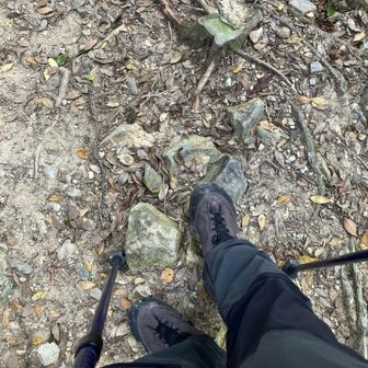 つま先着地に気をつけてゆっくり下山しました。足裏の湾曲をクッションにして、膝への衝撃を減らしてみました。お陰で、サポーターなしでも膝痛なし😊いつもより15分くらい余計に下山に時間かかりましたが、痛みが無いのはストレスがなく楽でした。
そのせいでしょうか、親指と足裏にマメができそうでしたが、何とか大丈夫でした。