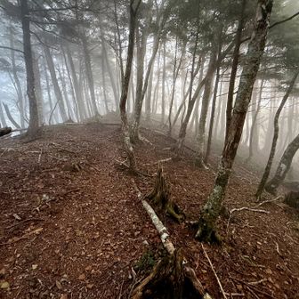 ガスが立ち込めているけど、雰囲気よし。疲れはたまっているけど、急げ！ここからは下山するまで写真もなし。