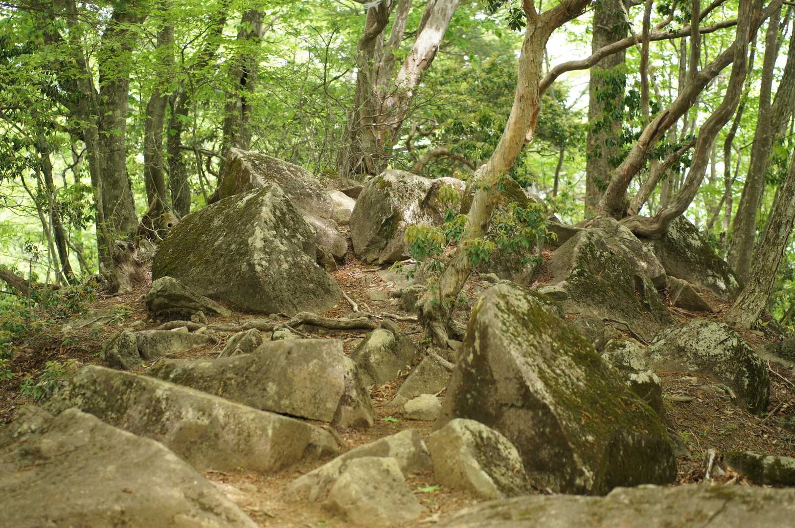 ホントに岩🪨ゴロゴロしてます😌