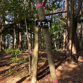 天下峰⛰️山頂