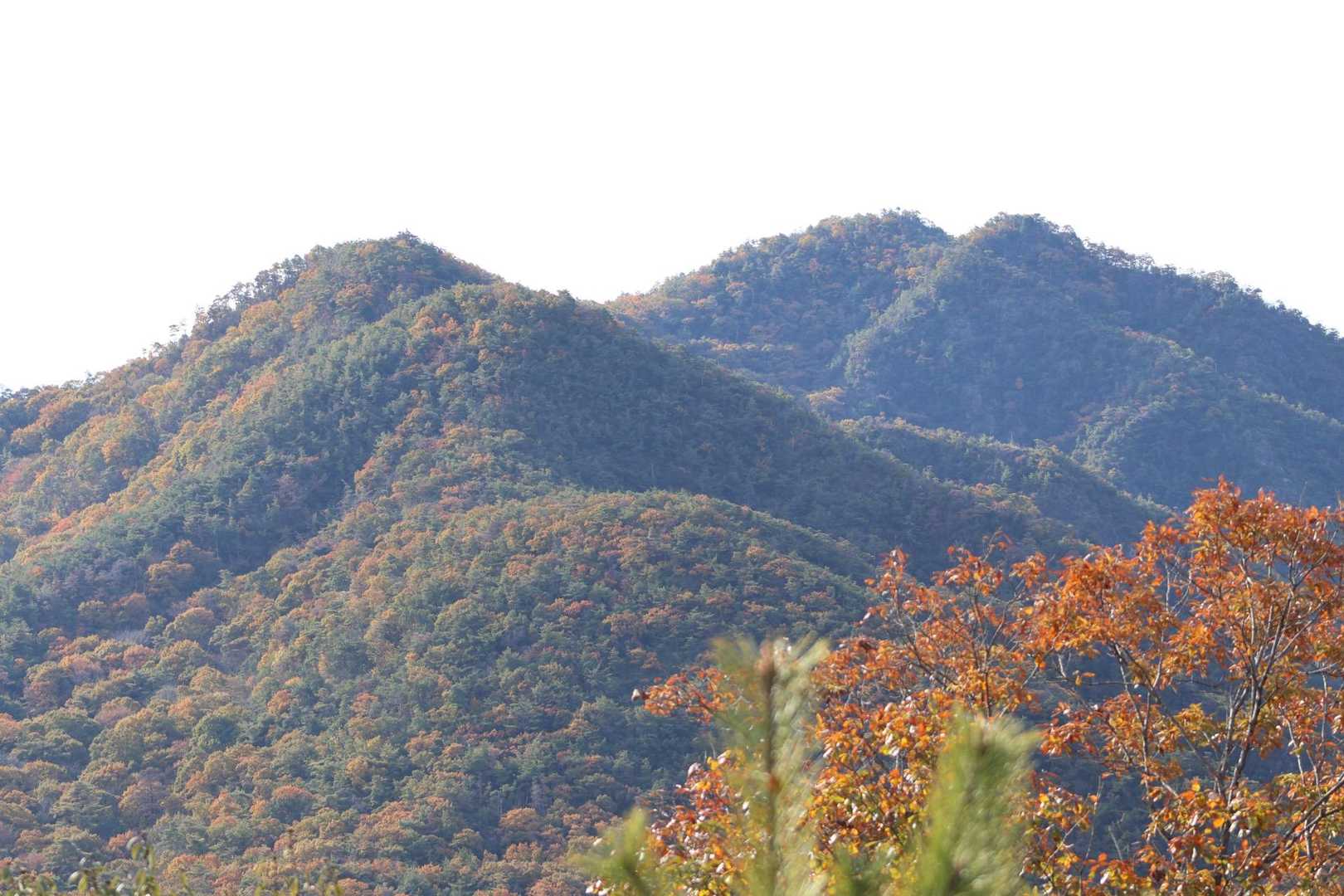 大岩山 往復コースの写真