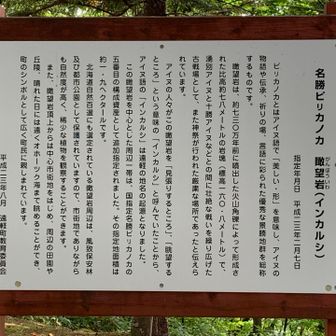 ふむふむ🤨
