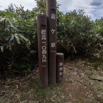 霧が晴れた霧ヶ原