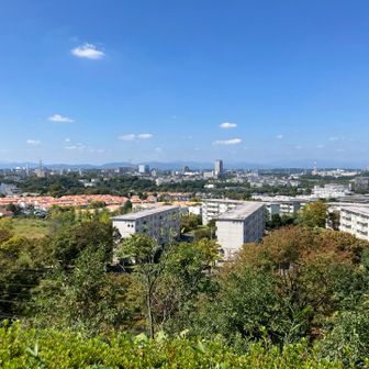 こちらは奥多摩の山々