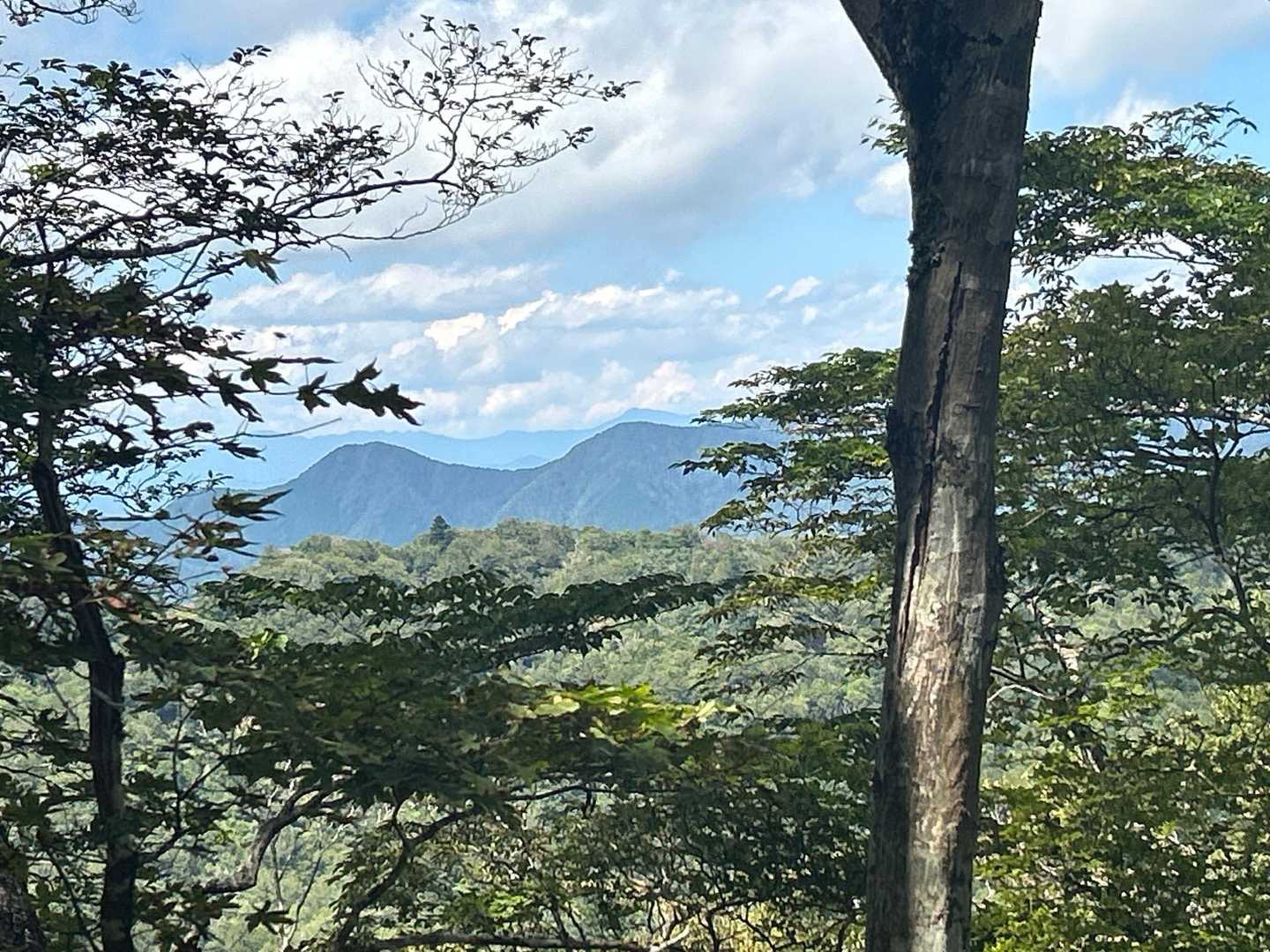 眺望は少しだけ🤏
ペースはのんびりだけど
元気が取り戻してこれた充実感😙
下山もわたしの足、頼みますよ👊🧡