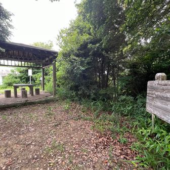 戻って水瓶山へ