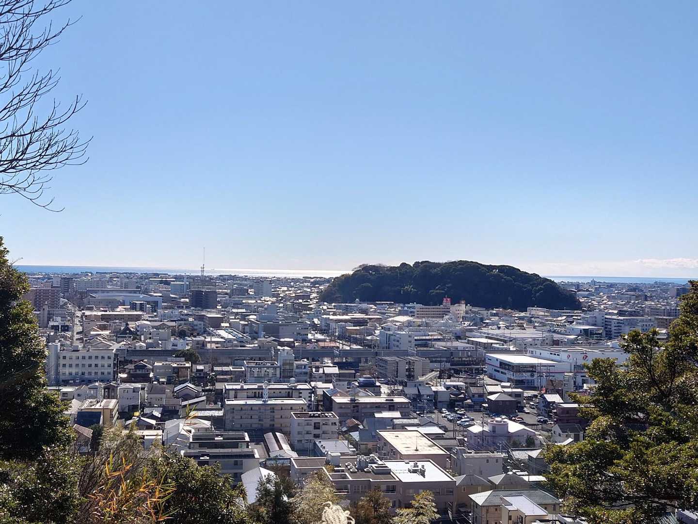駿河湾も