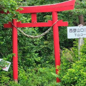 誰もいなそうだけど、フシグロセンノウに会いに南岳まで行ってみよう🎶