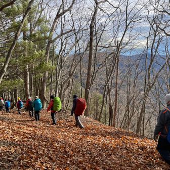 イイ道でしょぉぉぉ〜🥰

って、ココら辺で⁉️

深い落ち葉の中にスマホ📱落とす😱

途中で気付き探しに戻る😵‍💫💦

見つけ・れ・た😮‍💨😵🥴