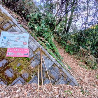 少し下って淡路ヶ峠、赤シャツコース登山口❗
ここを登り返してぼっちゃんコースとの分岐地点へ✨