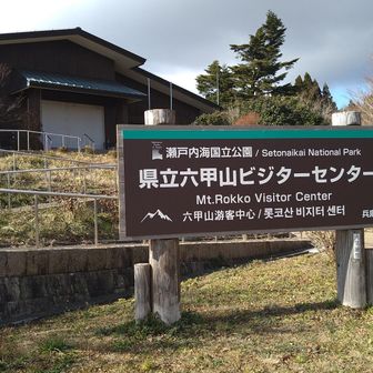 昼休憩🍙🍜
ベンチで座ってると寒いのでダウンを着ました
キセキレイのカップルがいました🐦