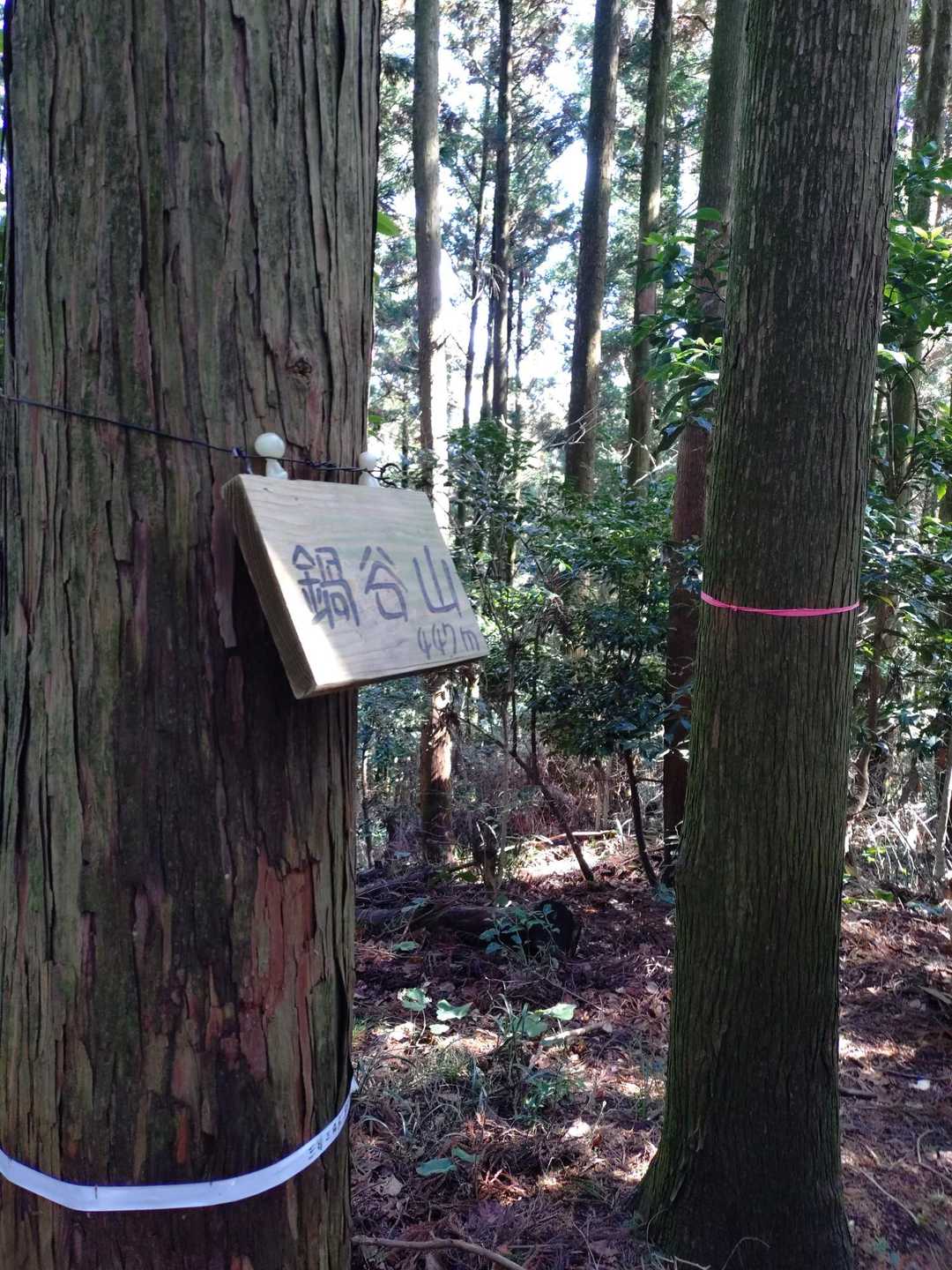 王丸山-上王丸山-鍋谷山 往復コースの写真
