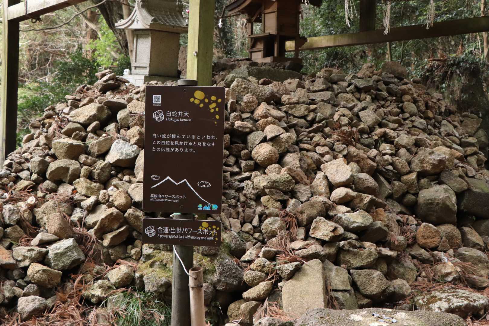 これで金運もバッチリや！