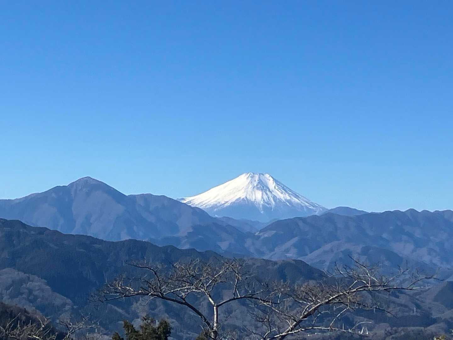 南高尾セブンサミッツの写真