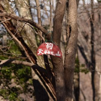 第一のピーク、天狗山。
実家の岡崎市の郵便番号は444-なので、ちょっと親近感のある数字。