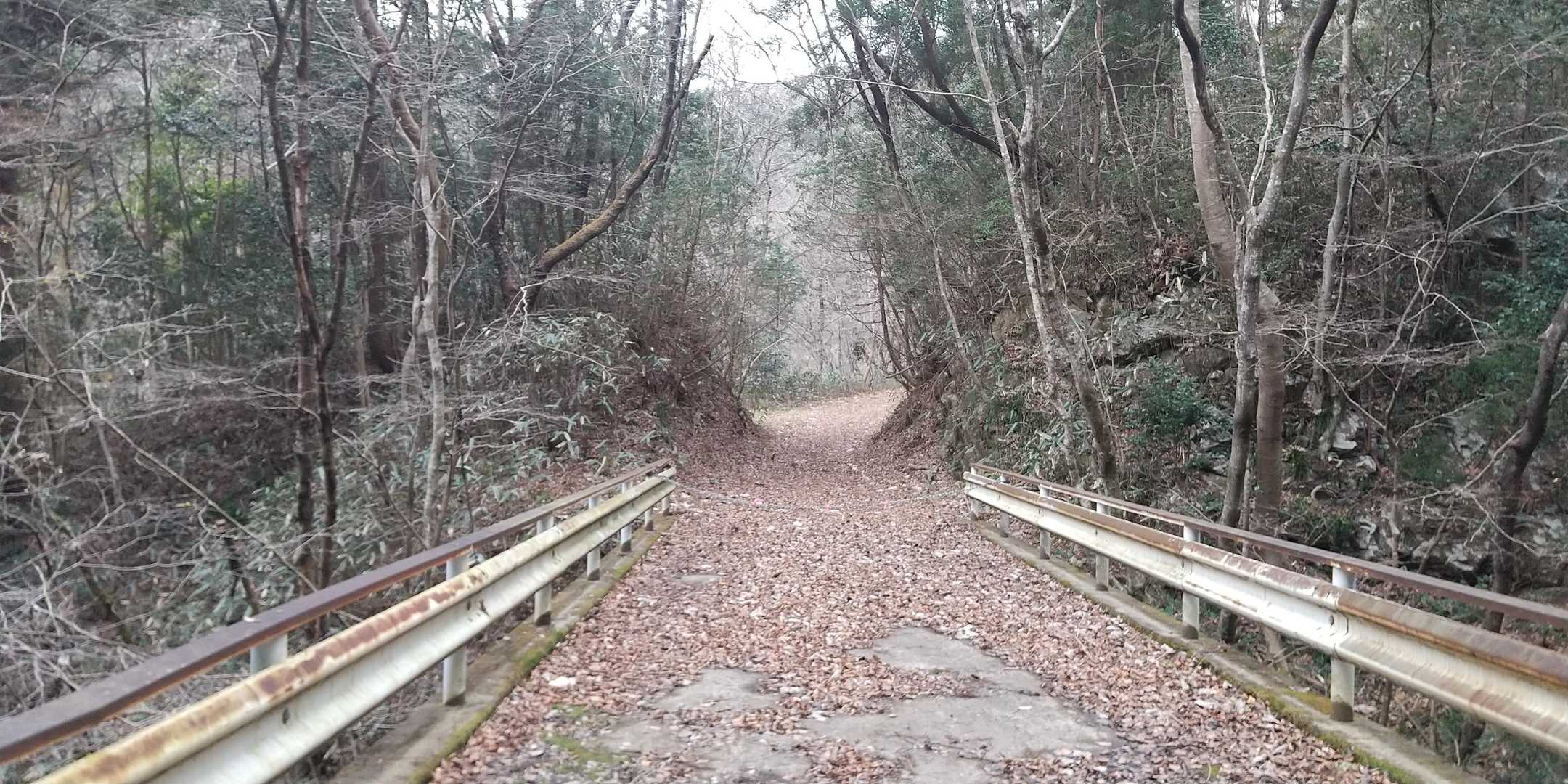 水沼山鷹巣山登山口-水沼山-鷹巣山-水沼ダム 周回コースの写真